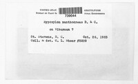 Image Associated With the Occurence